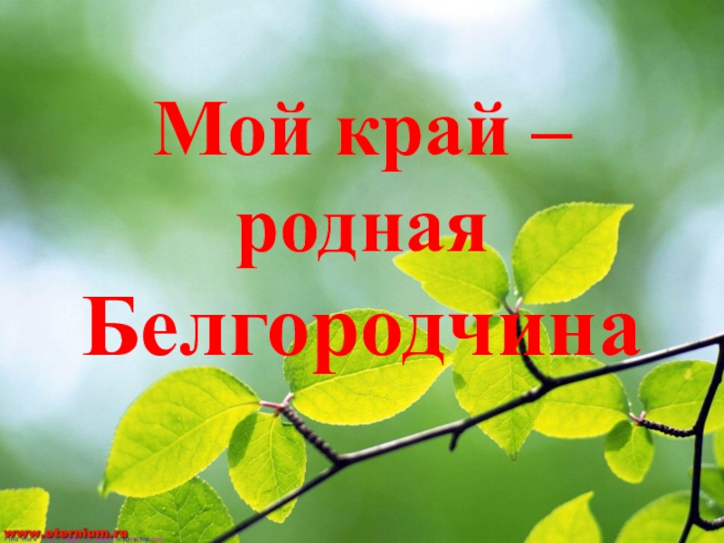 Наш край белгородская область 4 класс окружающий мир презентация