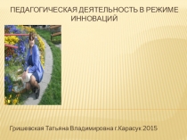 Презентация  Педагогическая деятельность в режиме инноваций