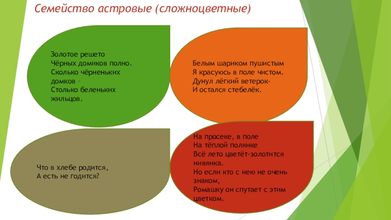 теория биологического поля