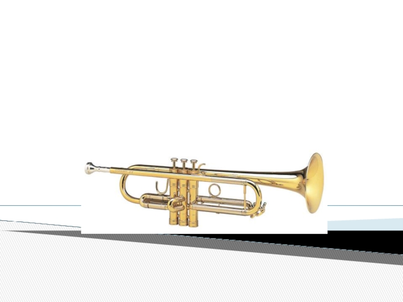 Презентация Музыкальный инструмент-труба