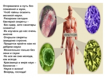 Презентация по биологии на темуБактерии