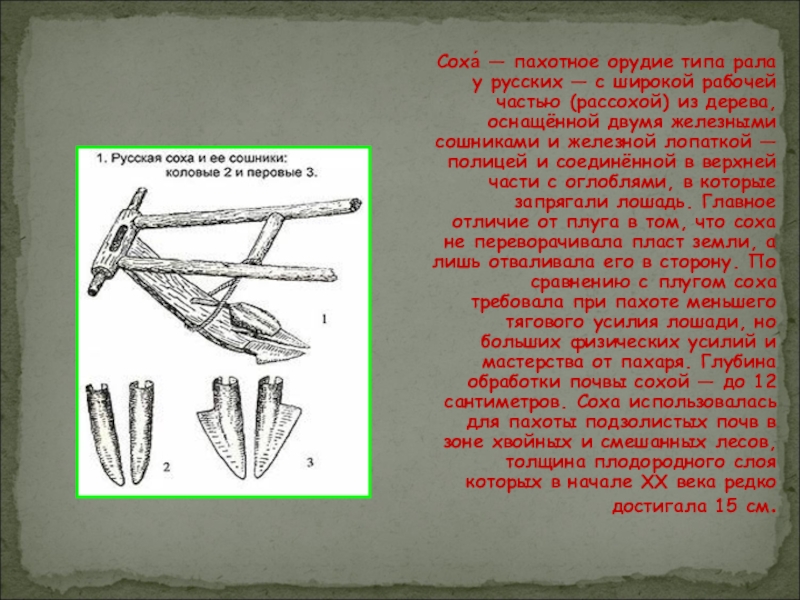 Соха что это картинка