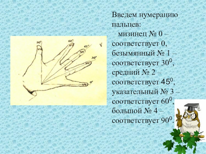 Почему безымянный мастер. Нумерация пальцев. Нумерация пальцев на руке. Нумерация пальцев в медицине. Средний и безымянный или указательный и средний.