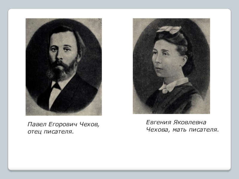 А п чехов родители. Родители Чехова Чехов.