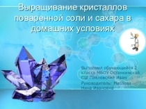 Презентация к исследовательской работе Выращивание кристаллов поваренной соли и сахара в домашних условиях