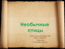 Презентация по биологии Необычные птицы