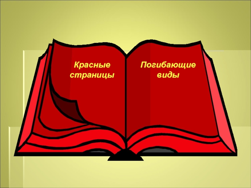 Рисунок красной книги