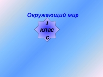 Февраль - месяц метелей и вьюг