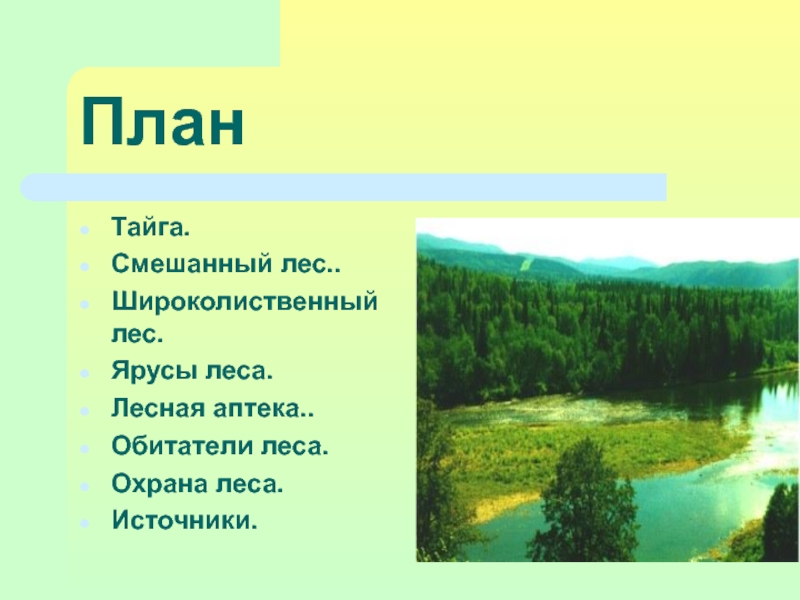 План рассказа о природной зоне тайги