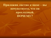 Презентация по темеИспарение воды листьями (6 класс)