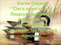 Презентація до уроку: Євген Гуцало “ Сім’я дикої качки”. Людська доброта й жорстокість, милосердя та справжня турбота про природу.