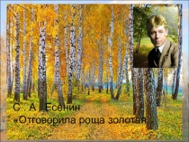 Анализ стихотворения С.А.Есенина Отговорила роща золотая