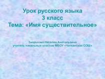 Презентация по русскому языку на тему Имя существительное 3 класс