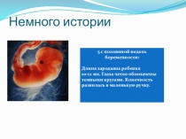 Физкультминутки для детей