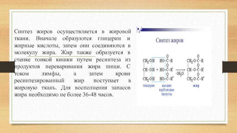 Почему синтез. Синтез жиров в печени и жировой ткани. Синтез нейтральных жиров в жировой ткани. Синтез жиров в печени и жировой ткани реакции. Синтез таг в печени и жировой ткани.