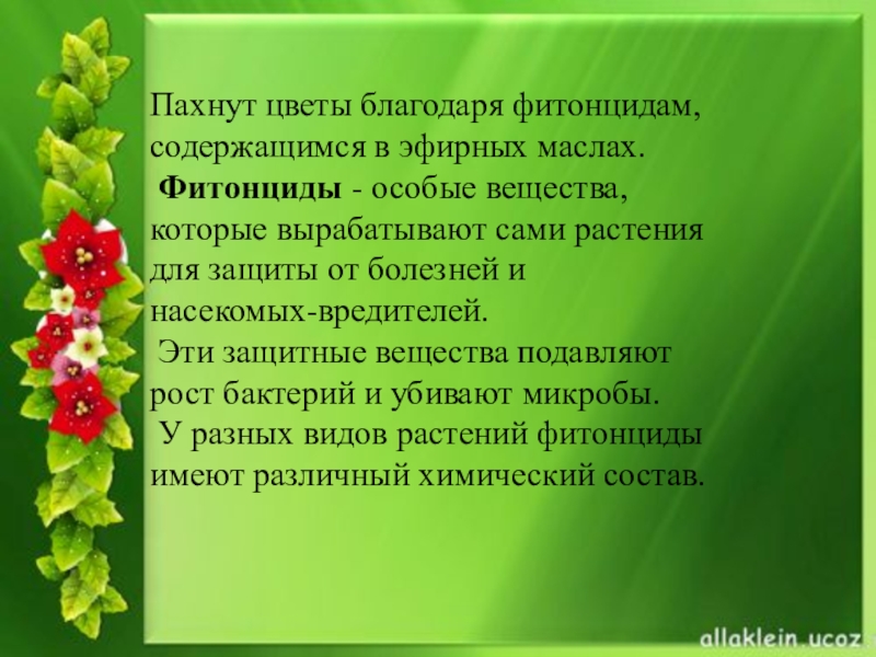 Цвет и запах цветов. Синквейн бабочка. Почему пахнут цветы. Синквейн на тему бабочка. Синквейн к слову бабочка.