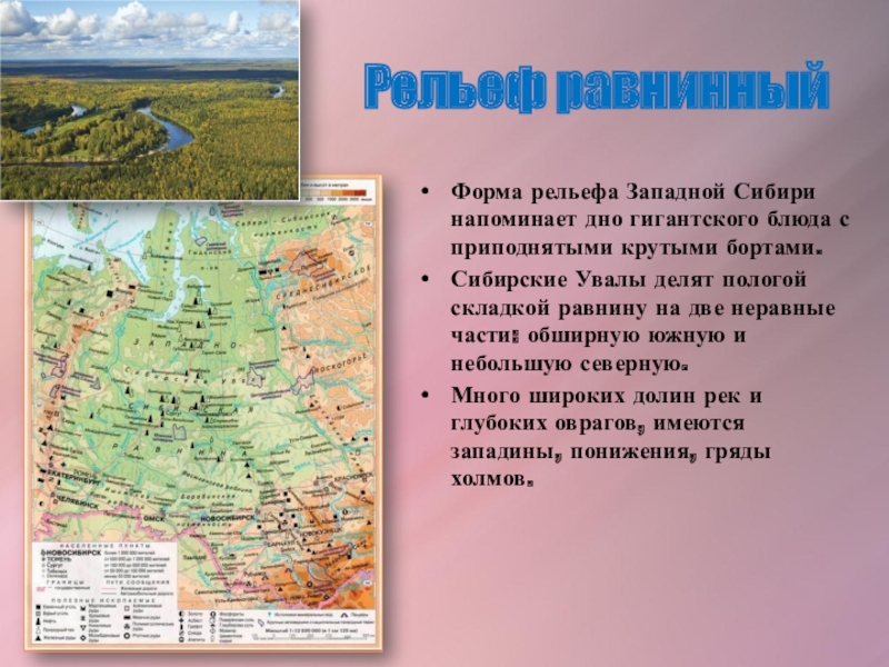 Растительный и животный мир западно сибирской равнины
