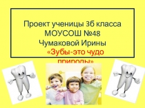 Презентация к проекту Зубы - это чудо природы