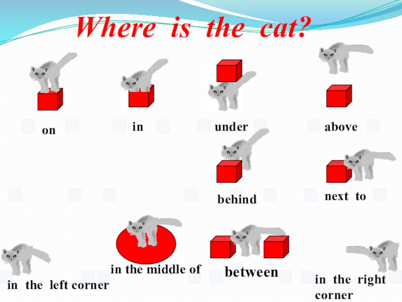 Where is the cat? oninunderabovebehindnext toin the left cornerin the middle ofbetweenin the rightcorner