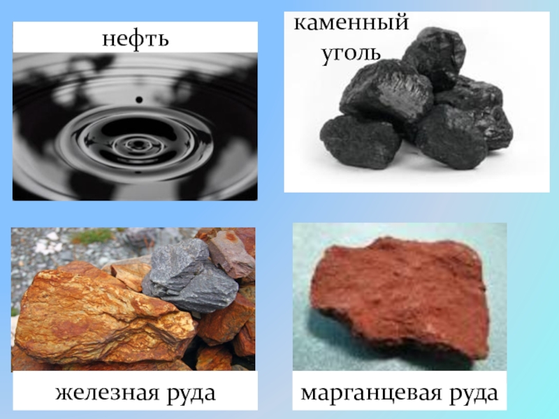 Самые большие запасы каменного угля