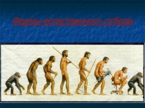 Презентация по биологии на тему: Формы естественного отбора (9 класс)