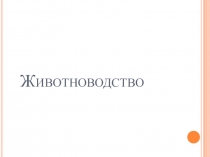 Презентация Животноводство к уроку по ознакомлению с окружающим миром