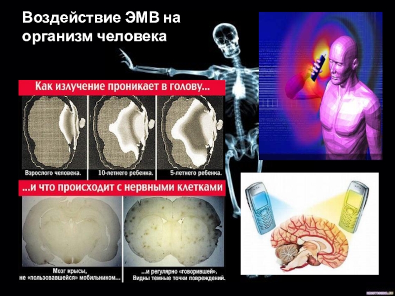 Электромагнитные волны влияние на человека проект