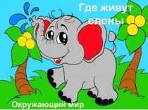 Окружающий мир. Где живут слоны?