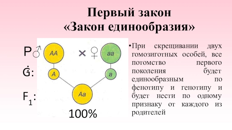 Генетика 9 класс биология презентация