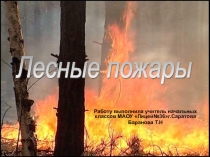 Презентация Лесные пожары