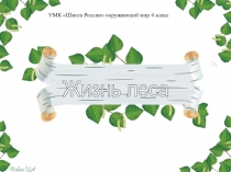 Презентация по окружающему мируЖизнь леса