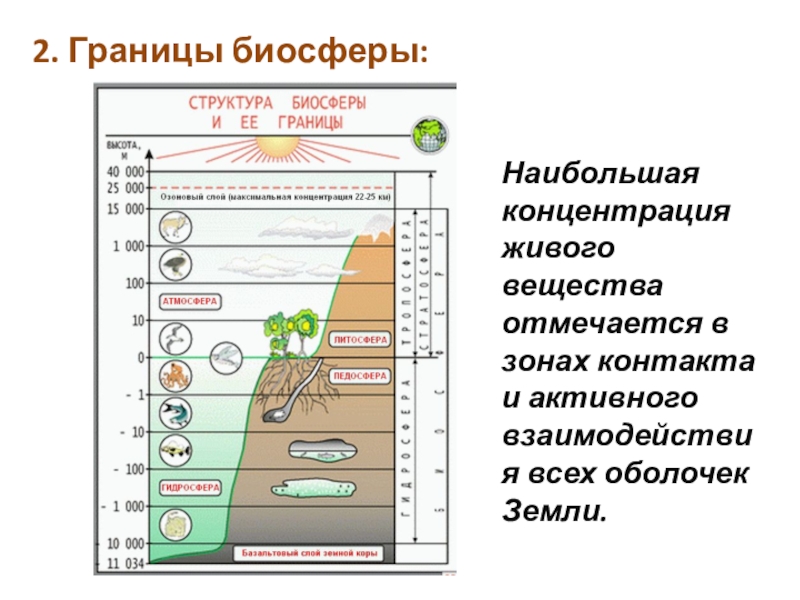 Рисунок границы биосферы 6 класс география