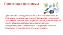 Простейшие