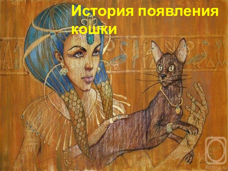 Реферат: История возникновения кошки