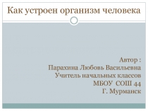 Презентация Как устроен организм человека