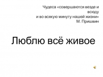 Презентация по литературному чтению к уроку М. Пришвин Ребята и утята