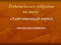 Презентация родительского собрания Адаптационный период пятиклассников