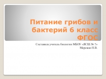 Питание грибов и бактерий