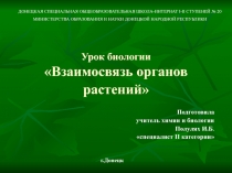Презентация по биологии на темуРастения