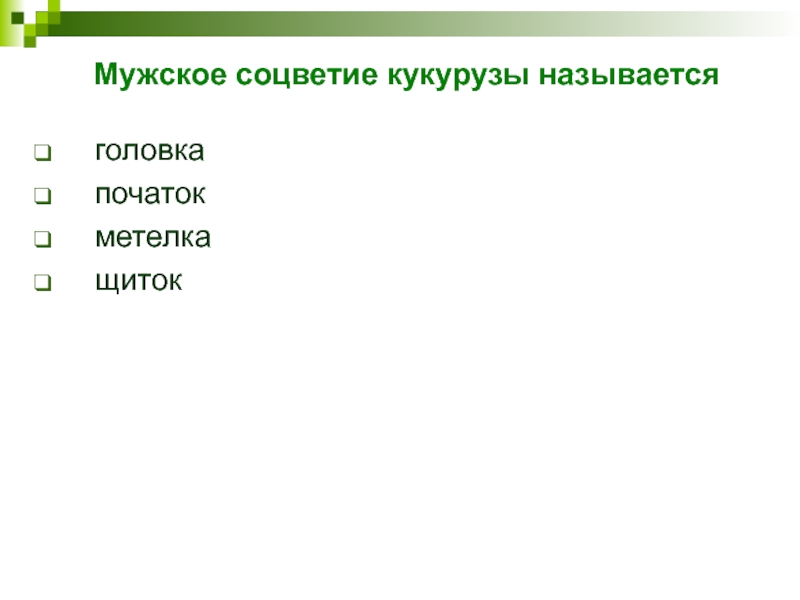 Мужское соцветие кукурузы называетсяголовкапочатокметелка щиток