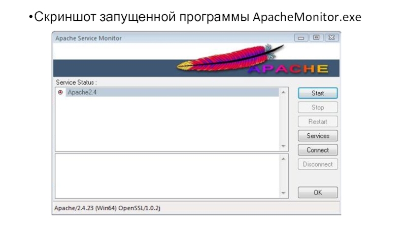 Скриншот запущенной программы ApacheMonitor.exe