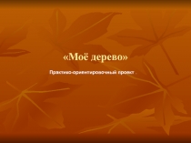 Презентация к проекту моё дерево