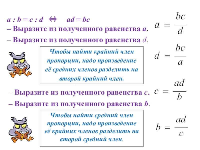 Презентация по теме пропорция