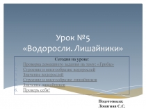 Презентация по биологии на тему: Водоросли. Лишайники