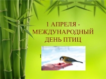 Презентация к внеклассному мероприятию День птиц
