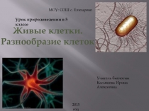 Урок биологии в 5 классе Живые клетки