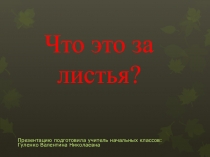 Презентация по окружающему миру на тему Листики хвоинки 1 класс