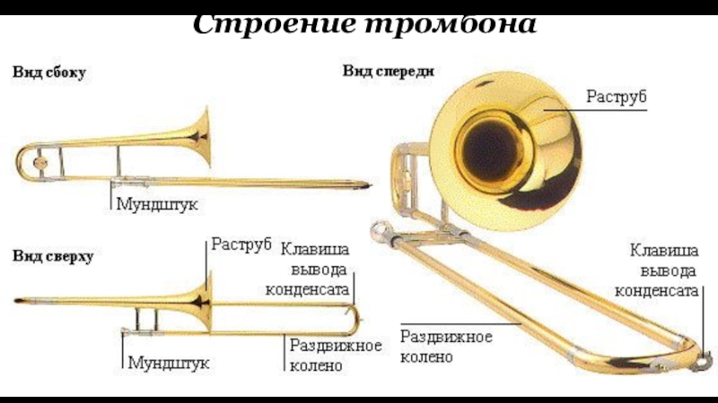 Части музыкального инструмента. Тромбон строение инструмента. Составные части тромбона. Труба музыкальный инструмент вид сбоку. Строение тромбона.