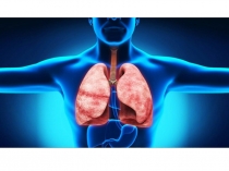 Презентация к уроку гуморальная регуляция