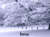 Презентация к уроку окружающего мира на тему: Зима